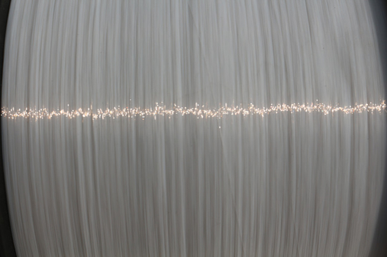 Cable Sheathing Polyester Monofilament Yarn